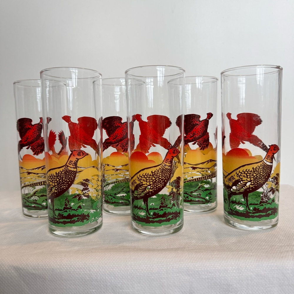 6 MCM Tom Collins Tumblers Tall Drinking Glasses Pheasant Hunting Scene - Picture 2 of 6